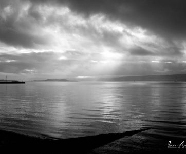 The Last Pictures with my Leica