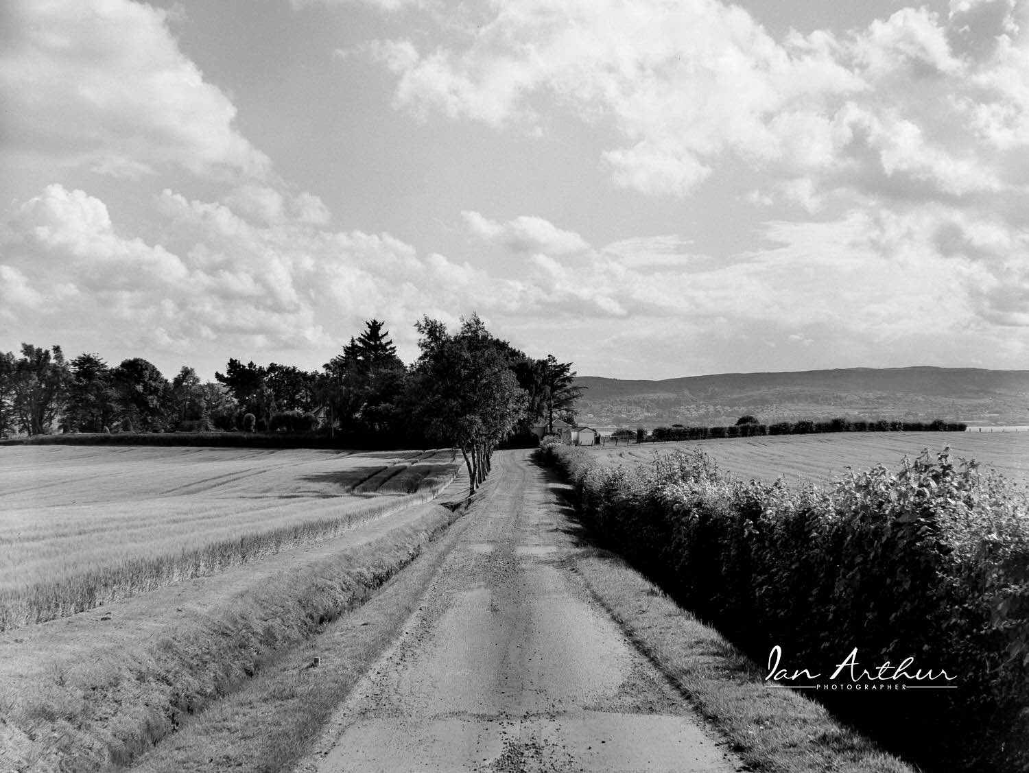 5×4 Negatives – Local Pictures